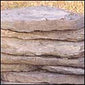 Garden Pathway Stone